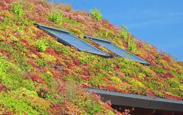 Gabroc Hill living roof systems