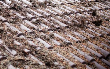 Gabroc Hill roof cleaning companies