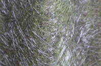 Gabroc Hill fibreglass roof work